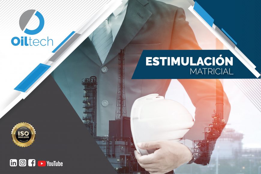 ESTIMULACIÓN MATRICIAL